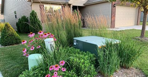 plants around electrical box|hide utility boxes in lawn.